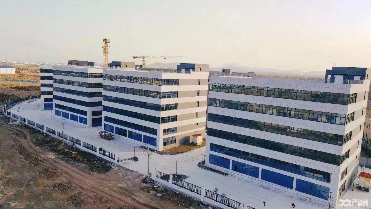 胶州李哥庄 超值性价比厂房出售 2200元起价 - 8