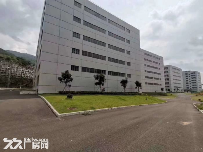 清溪全新红本工业园总面积13万平米招租 - 3