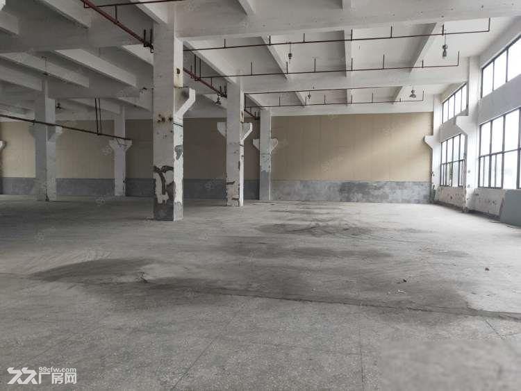 航头大麦湾工业园 一楼1800平环氧地面 车位充足可分割出租 - 4
