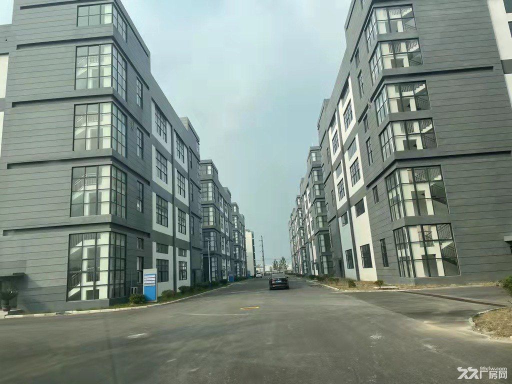宿州电子信息产业园厂房出租赁/标准厂房招租/享免租/精装办公室 - 3