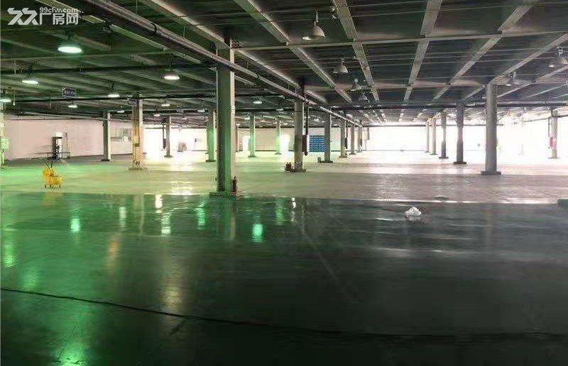 出租正规园区厂房,手续齐全可生产研发办公仓储 - 5