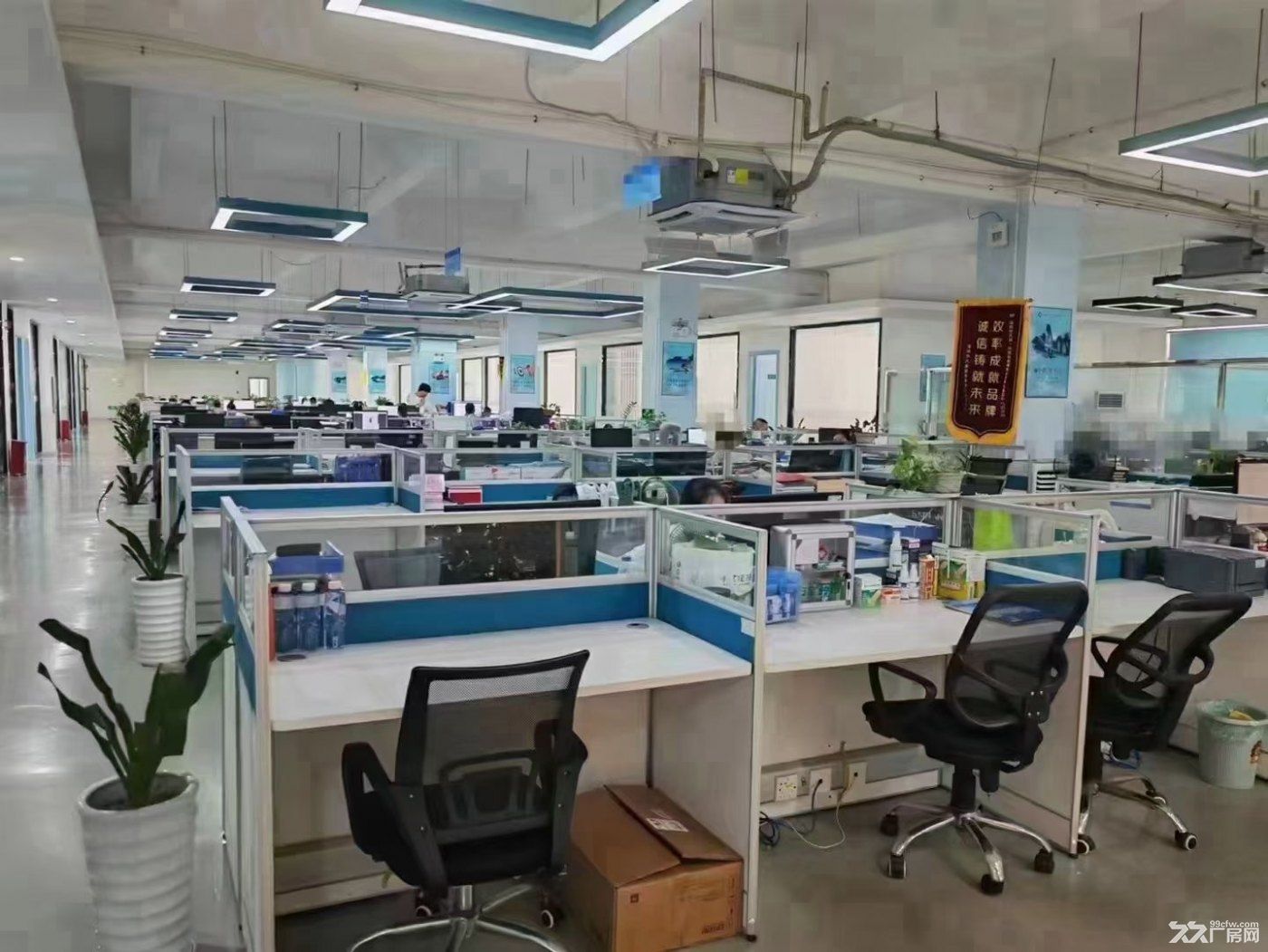 深圳光明长圳标准独院厂房出租，一楼带牛角 - 3