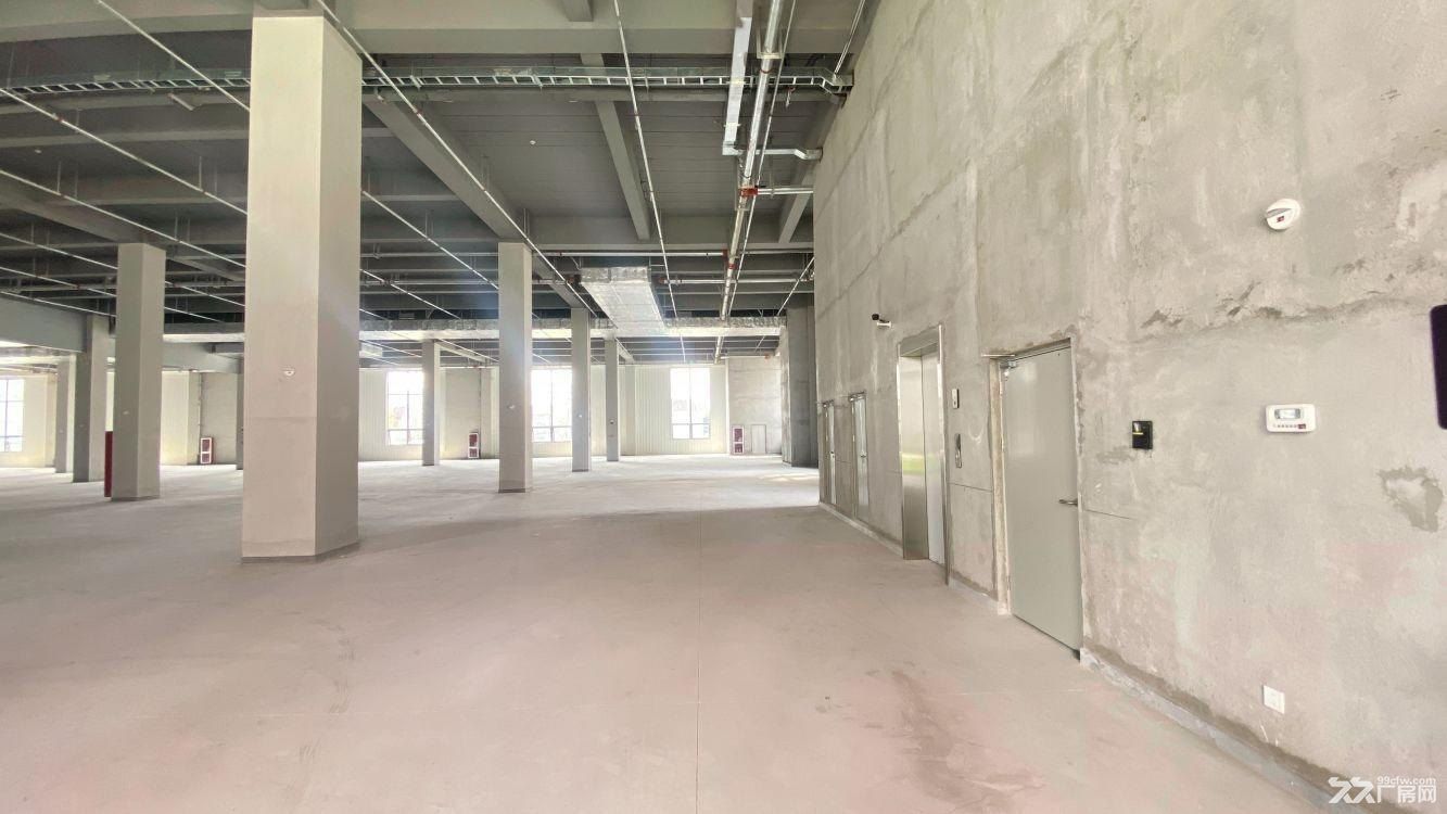 曹路研发厂房 新材料半导体电子生产 带卸货平台 大业主直租 - 4