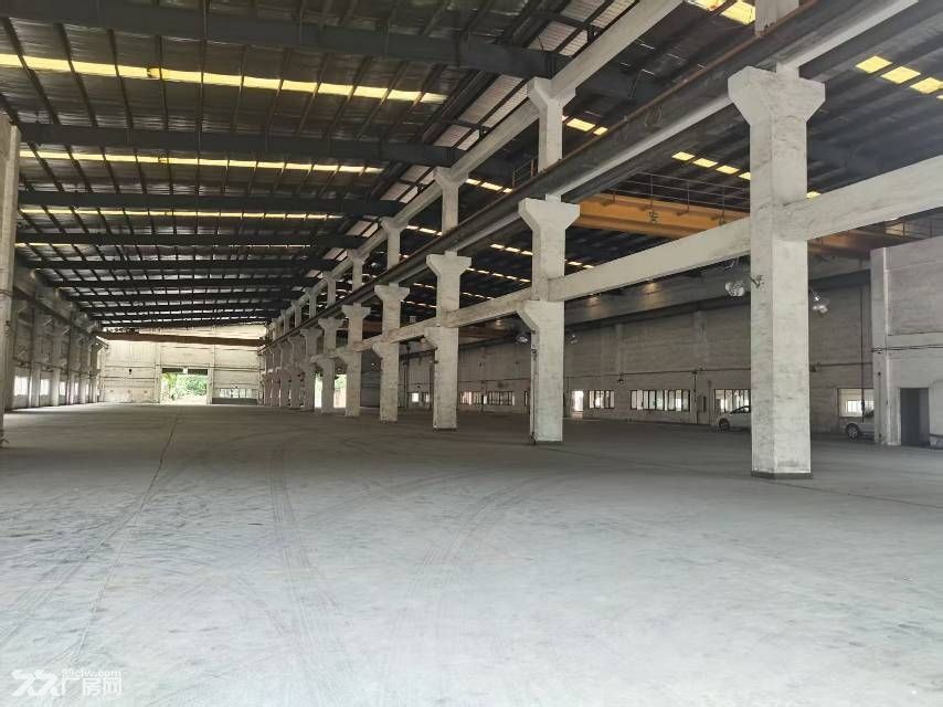 黄埔主干道旁独院红本厂房业主直售 - 3