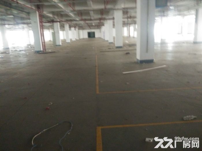 同安独门独院标准食品厂房38659平方出售