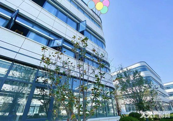 南京江宁私人订制 大面积独门独院 花园厂房 - 2