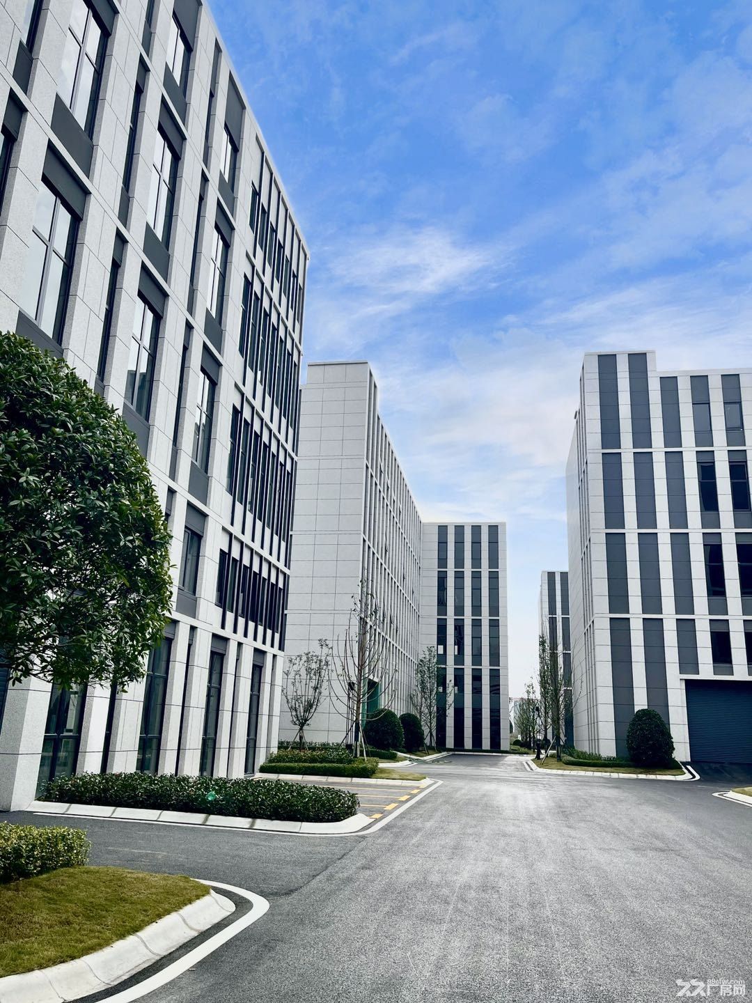 天府新区新兴工业园,紧临龙泉,全新独栋分成园区,可享受政府租金50%补贴