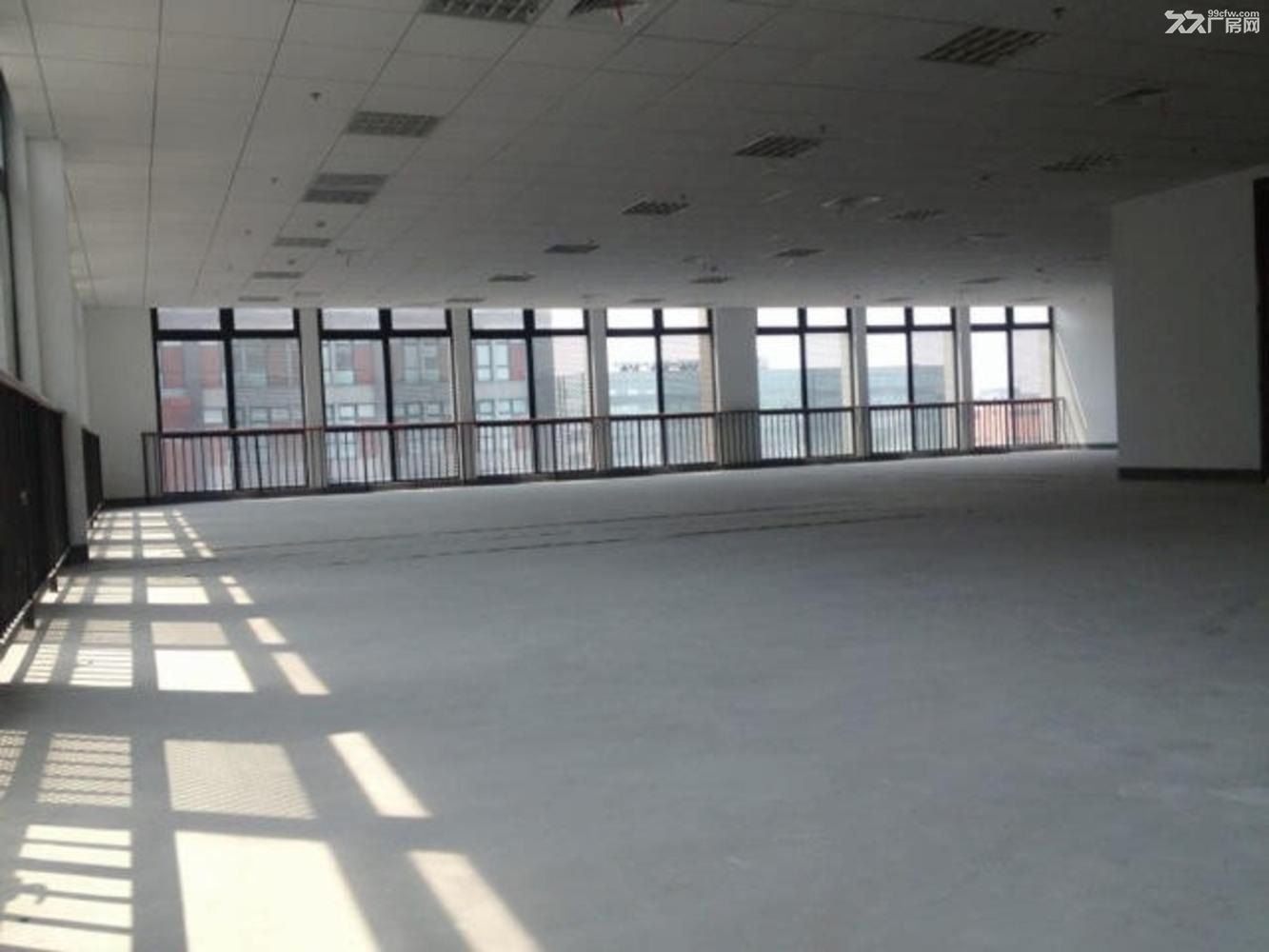 张江药谷蔡伦路核心发展带——张江·亚兰德研发总部 - 3