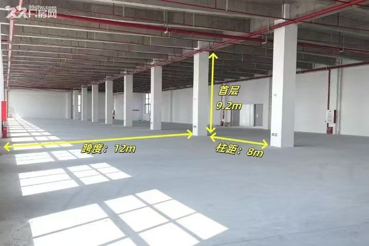 芦苞镇三水大道旁独栋37000㎡高标厂房招租,租金仅需个位数 - 4