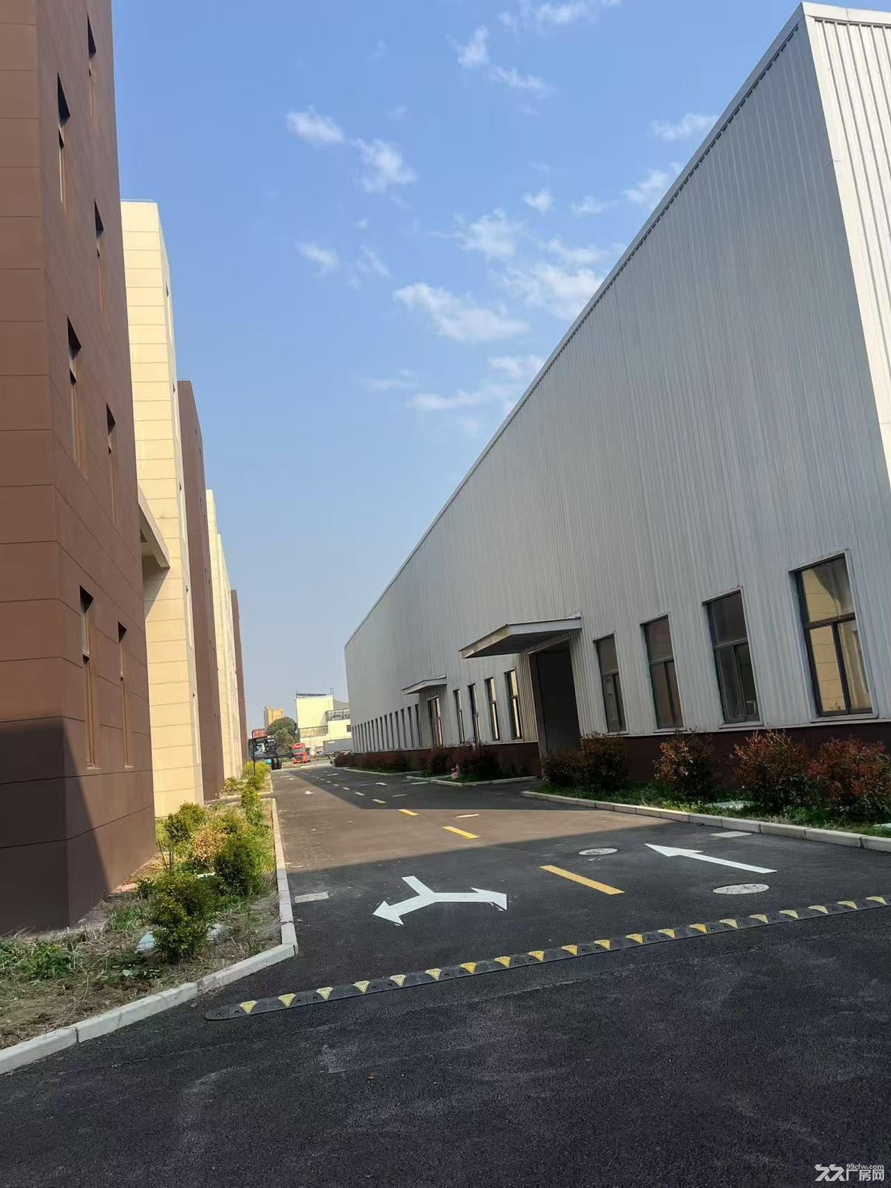 临港新城28000平方厂房出租,可分割 - 5