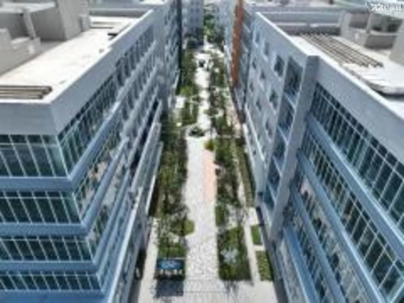 张江基因岛，104工业地块，国企运营，全新房源，专业服务 - 4