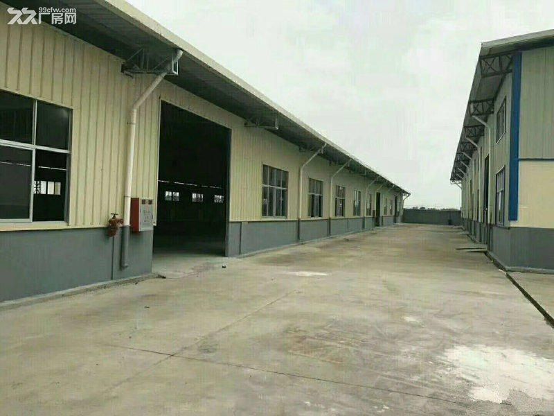 《《合》》水口单层厂房独栋钢构750平方出租 - 4