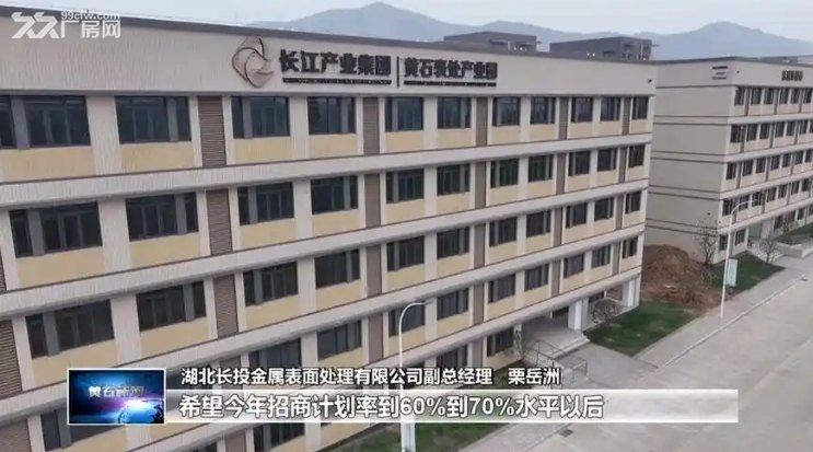 湖北电镀产业园|电镀加工生产基地|中部地区电镀产业园厂房招租·国企园区