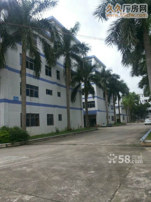 深汕路边20500平米红本厂房诚售 - 4