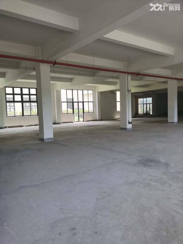 南京江北新区长芦街道玉带工业区稀有2层厂房3800元一平招商 - 5