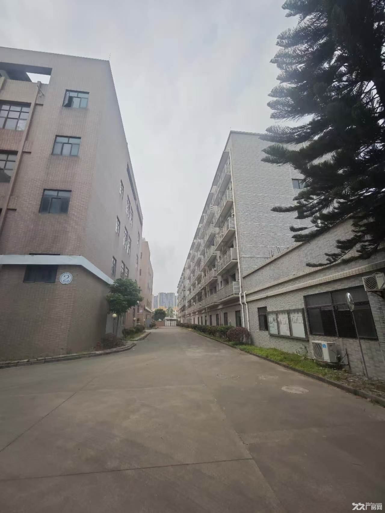 惠阳经济开发区独院花园厂房出售(股权转让) - 3
