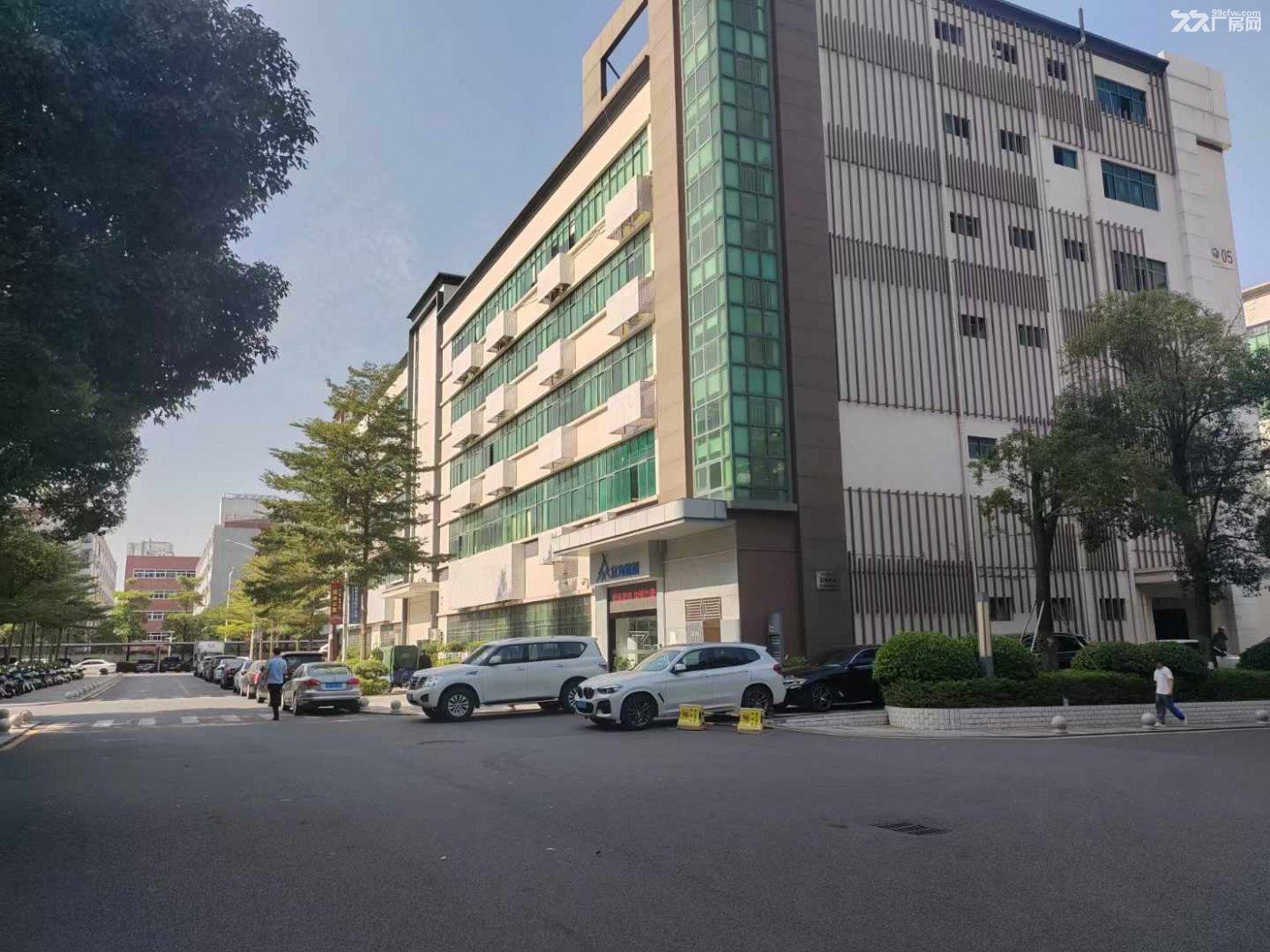 多套石岩独院优质厂房招租 - 3