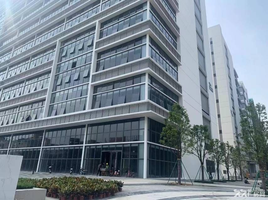 东莞大朗工改工,独立红本,50年产权,30万标准厂房大小可分 - 2