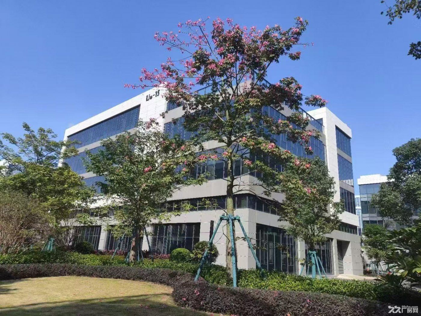 福州长乐滨海新区独栋分层稀缺厂房火热招商 - 3