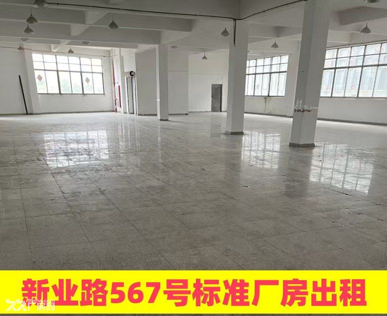青浦工业园新业路567号104地块标准厂房出租 非中介 - 3