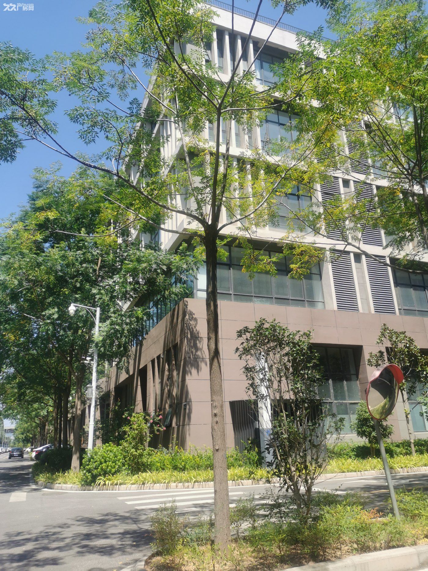 洛阳市 涧西区 厂房出租 工业厂房300-6000平米 可分割 - 2