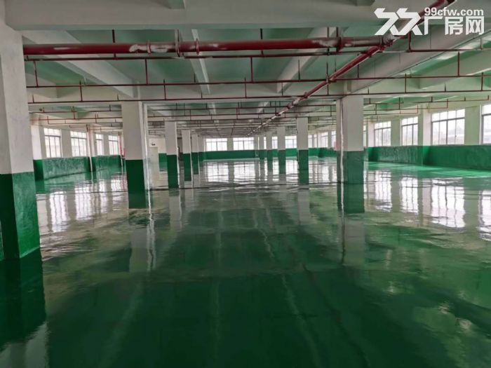 江门台山工业新城五全电子，贸易办公，电商，皮具鞋材厂房招租