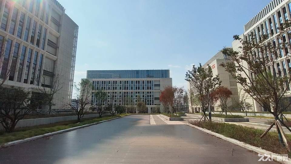 达州青网科技园全新厂房直租 - 8