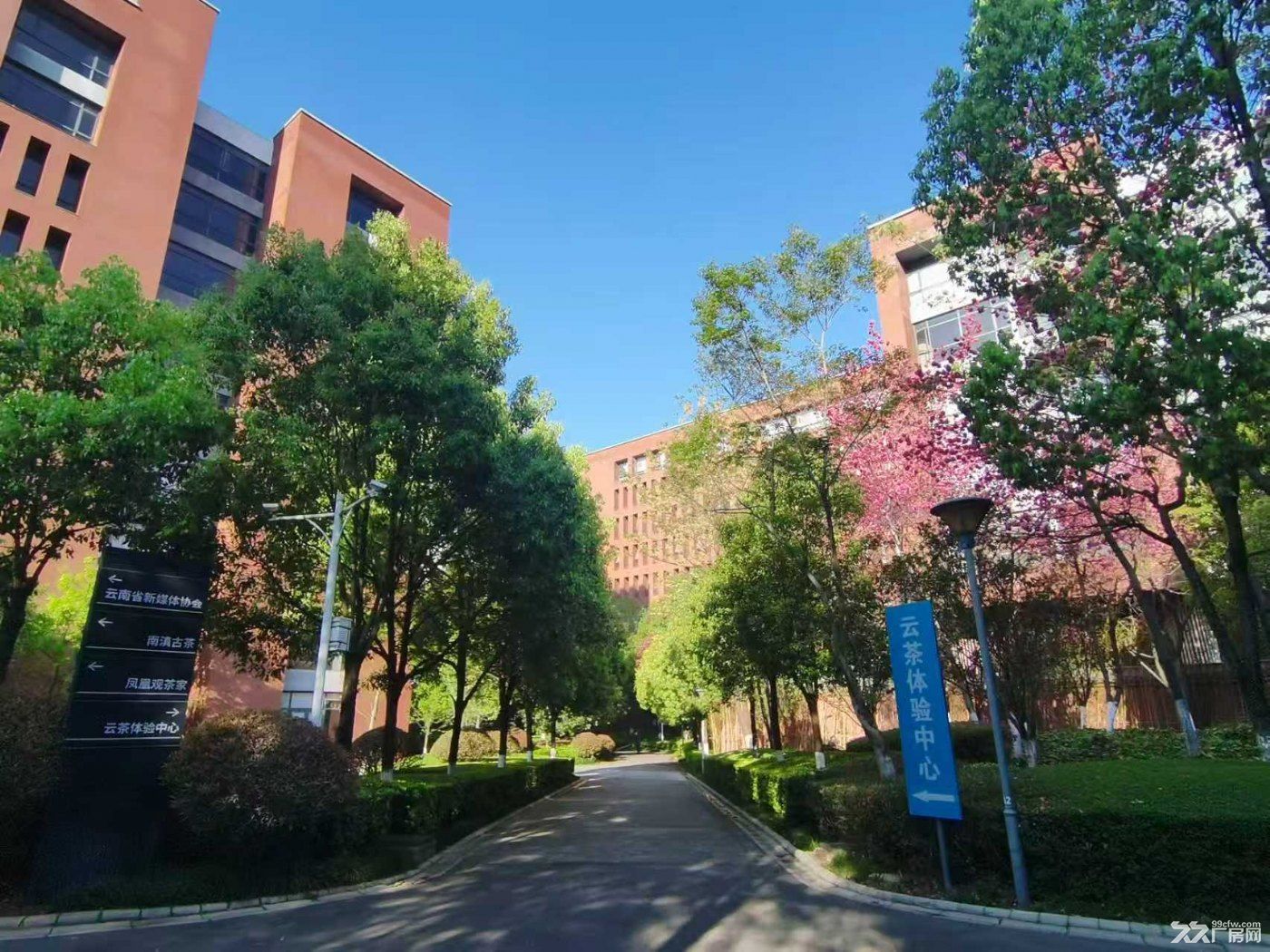 花园式园区丨交通便利丨价格优惠丨证件齐全 - 4