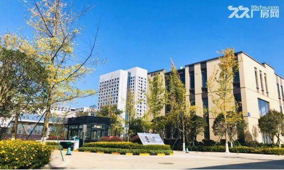 出售双流50年独立产权框架厂房，电子智能制造入 - 5