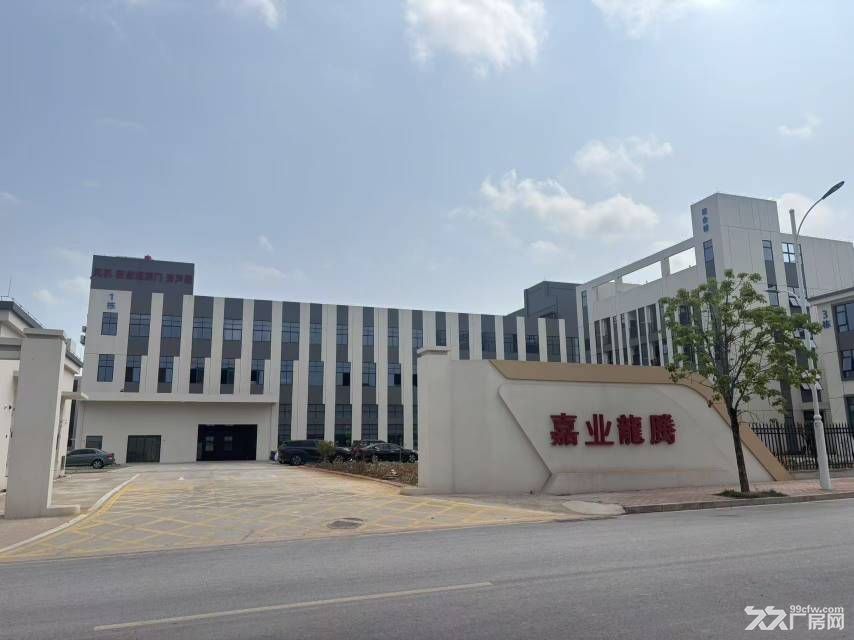 全新厂房出租+带绿化+欢迎咨询