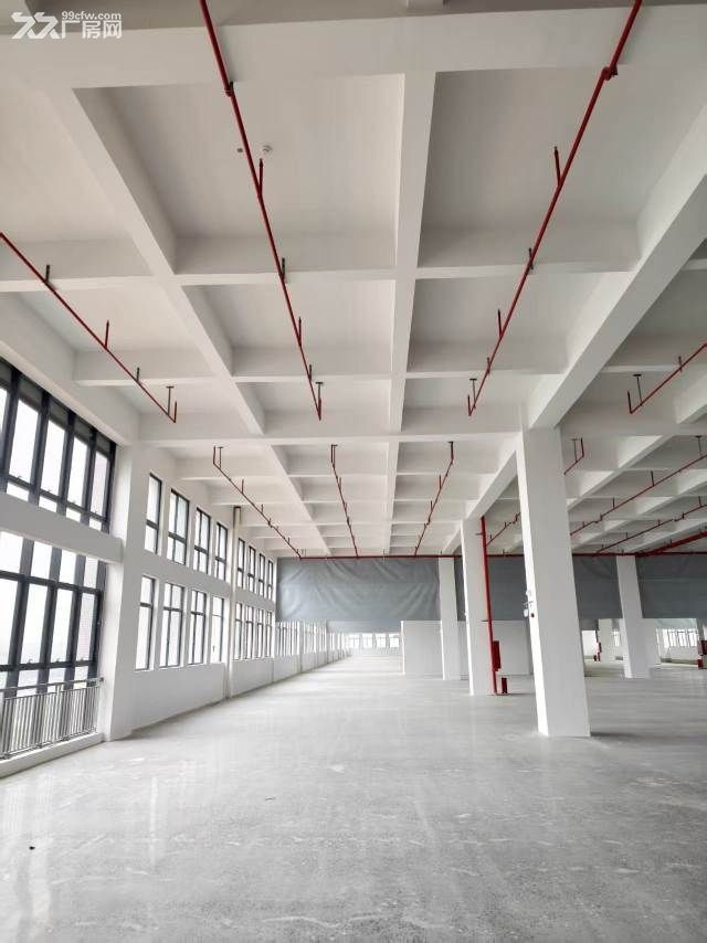 增城区牛仔洗水厂原房东招租 - 3