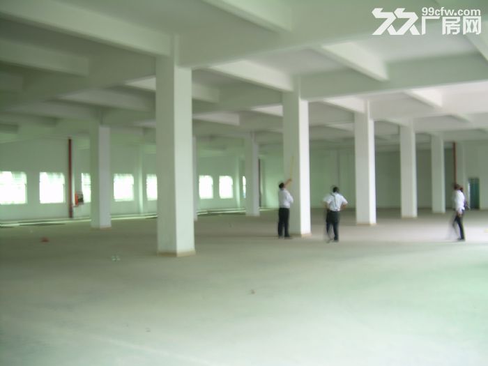 个人.东善桥1到4楼7000平米新建标准厂房出租,1700平米/层 - 3
