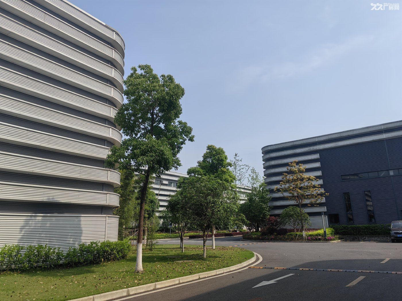 高新区核心区，1500㎡钢构厂房起租 - 5