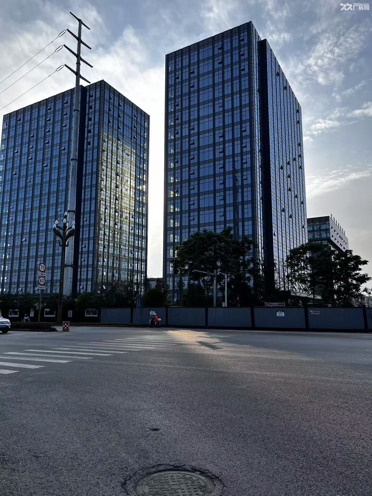 奥体中心旁，标准厂房出租，可以整租可分租 - 2