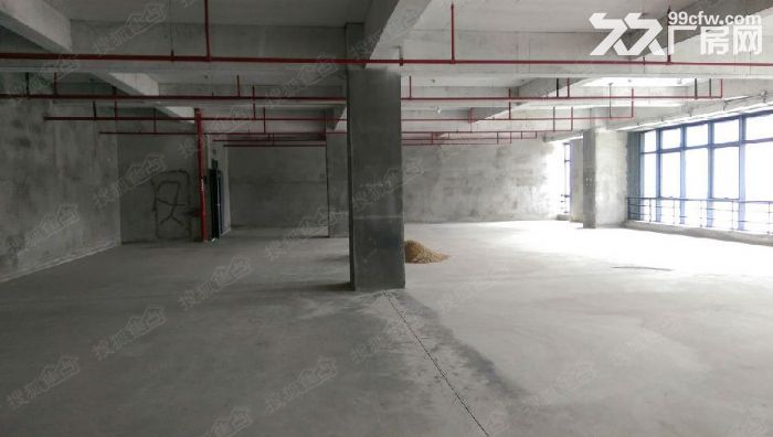 浦东金桥实验室,独门独院,104地块,研发中心,数据中心,医疗器械生产均可 - 5