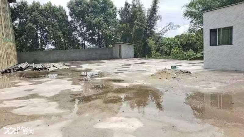 河南岸附近1000平方独院厂房出租 - 3