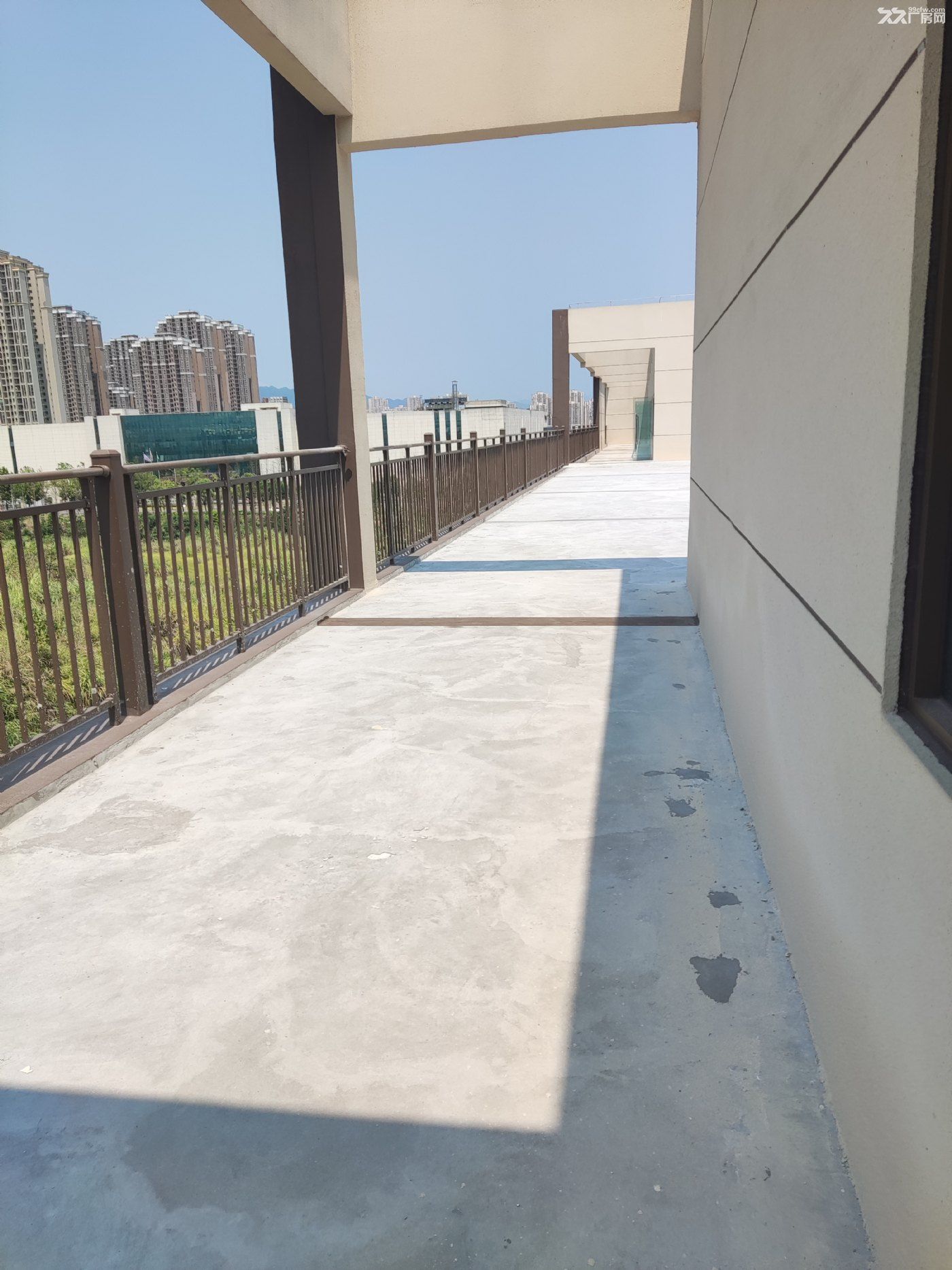两江独栋花园厂房现房出售 送坝子 单价便宜 - 5
