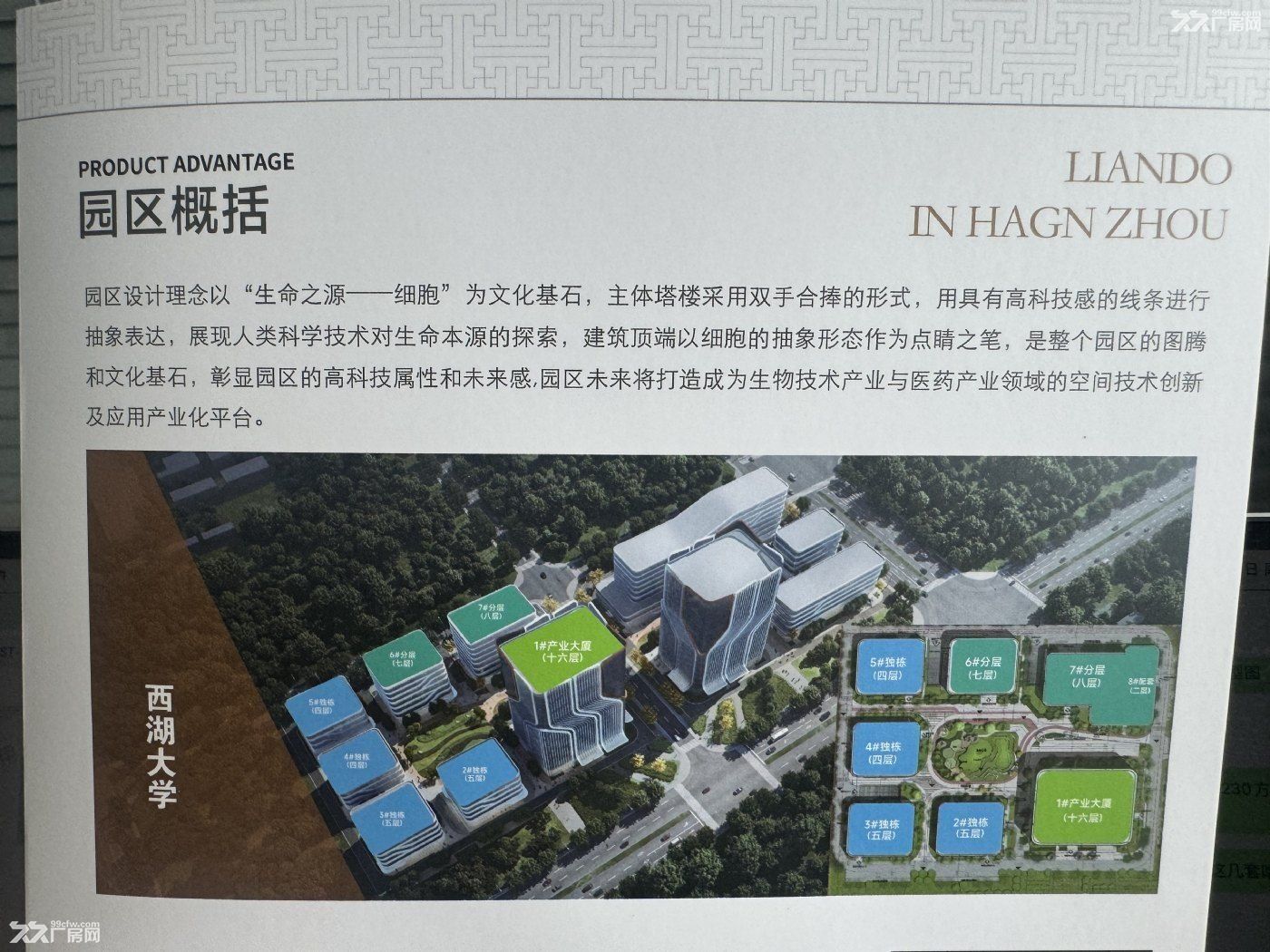 西湖稀缺花园式厂房1000平起售产权50年首付低至2成 - 4