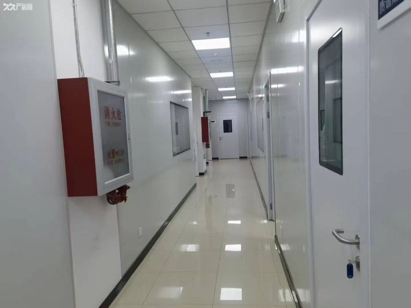 新房首推!!!生物医药基地 638平精装实验室 配3吨货梯 客货分流 拎包入住 - 4