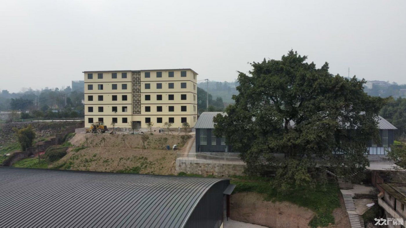 重庆涪陵新妙全新厂房出租出售 - 2