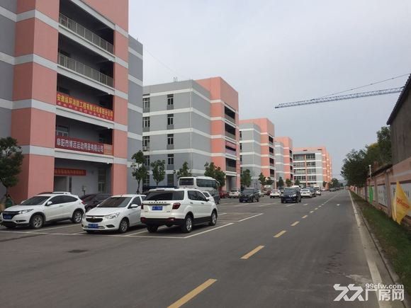阜阳青网科技园90-3600平 - 3