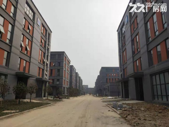 急售,双凤开发区标准化厂房,首付2成,水电入户,50年产权 - 6