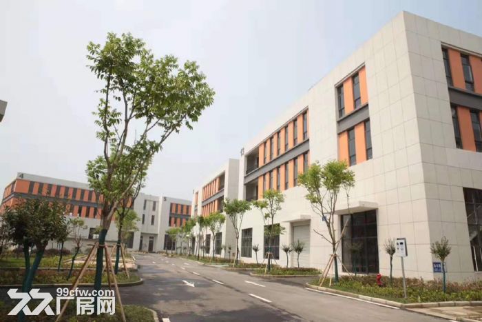 钢筋混凝土框架结构标准独栋厂房，层高7.8米，50年大产权，低首付可按揭！ - 7