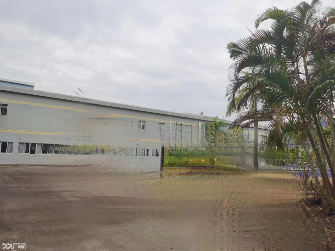 珠海市斗门区独院物流厂房出售 - 5