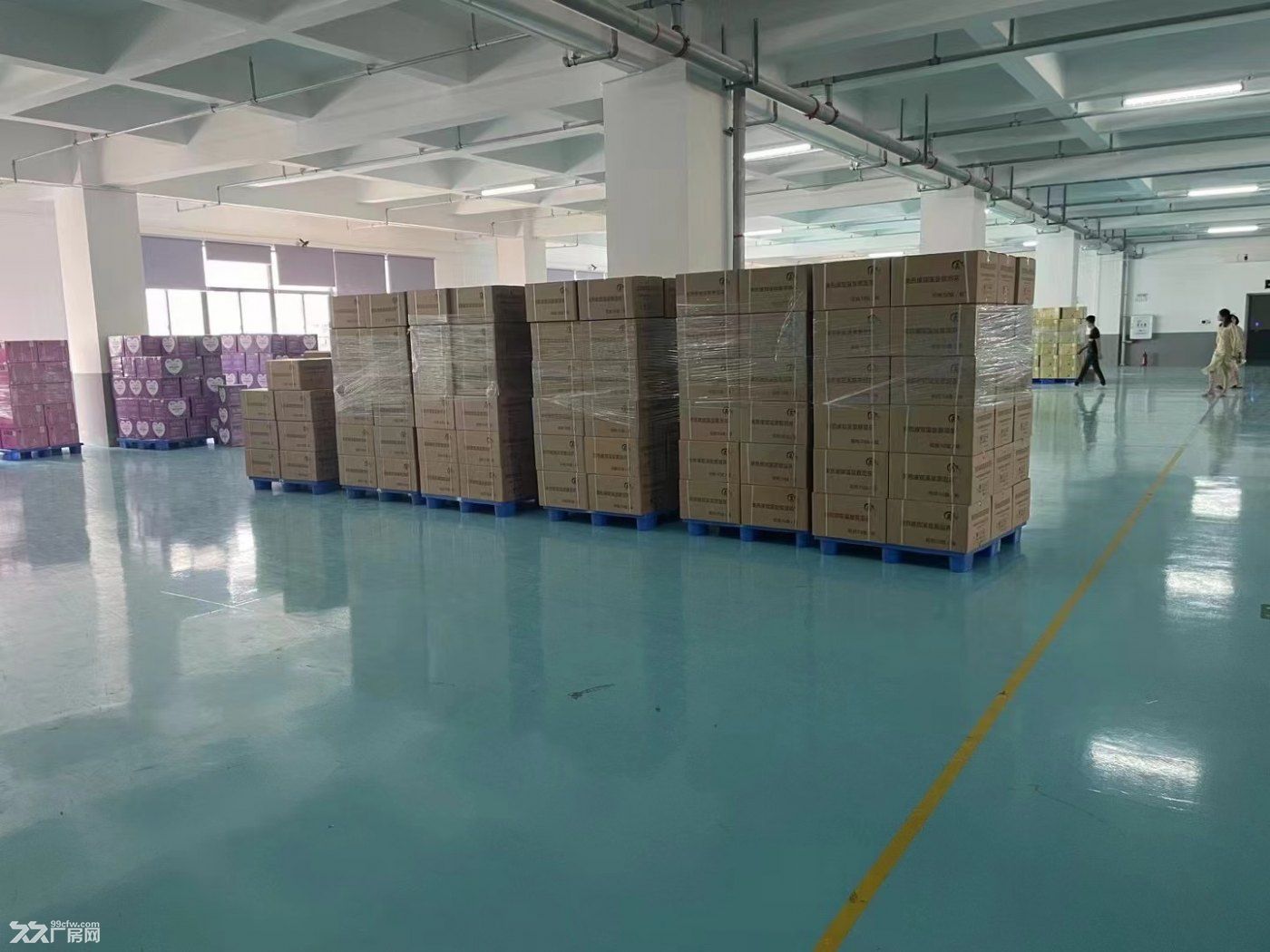水口花园式标准厂房8元起租,大小可分租 - 5