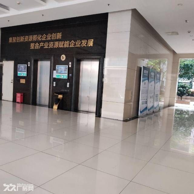黄埔云埔700平超实惠园区厂房出租 - 5
