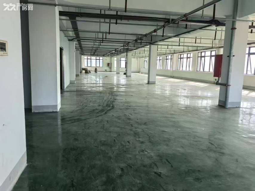 新站区标准厂房独门独院2000平可分租 - 3