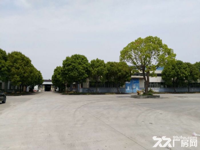 厂房出租枫展路399号 - 5