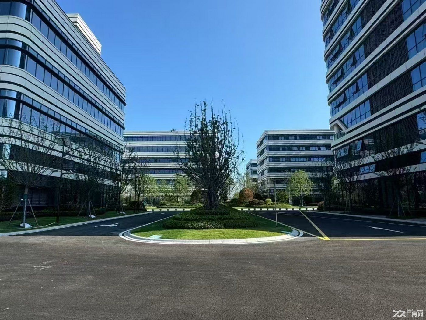 奉贤南桥新建高标研发办公厂房出租