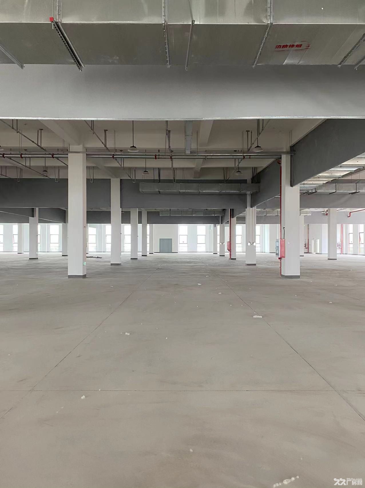 永兴厂房出租20000m² 可分租 - 6